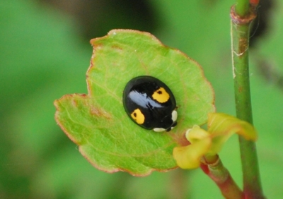 f:id:shinsyu7:20110916110107j:image:w640