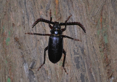 f:id:shinsyu7:20110916110512j:image:w640