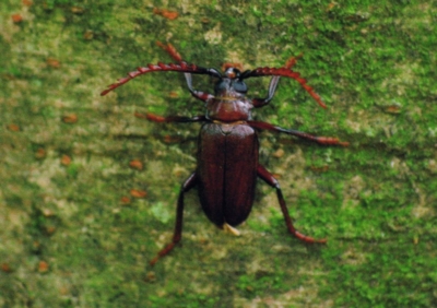 f:id:shinsyu7:20110916110516j:image:w640