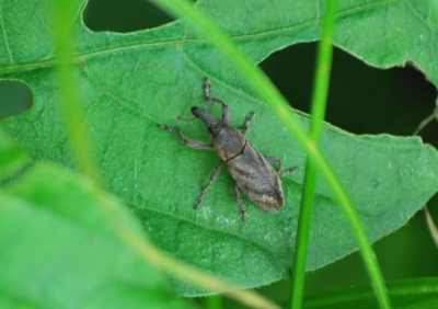 f:id:shinsyu7:20110916110543j:image:w640