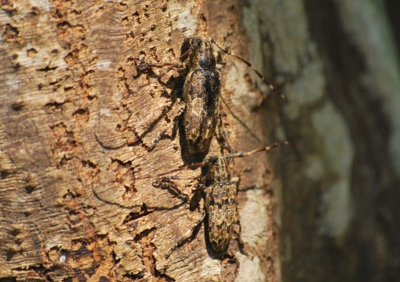 f:id:shinsyu7:20110916110914j:image:w640