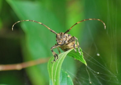 f:id:shinsyu7:20110916110920j:image:w640