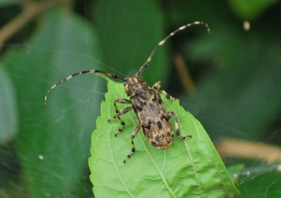 f:id:shinsyu7:20110916110923j:image:w640