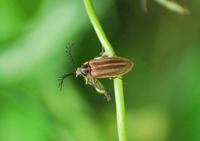 f:id:shinsyu7:20110916111334j:image:w640