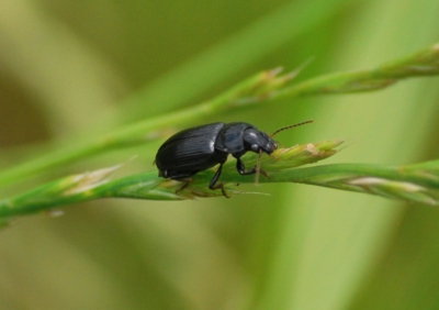 f:id:shinsyu7:20110916111359j:image:w640