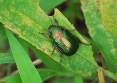 f:id:shinsyu7:20110916111605j:image:w640