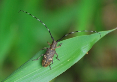 f:id:shinsyu7:20110916111747j:image:w640