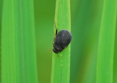 f:id:shinsyu7:20110916112025j:image:w640