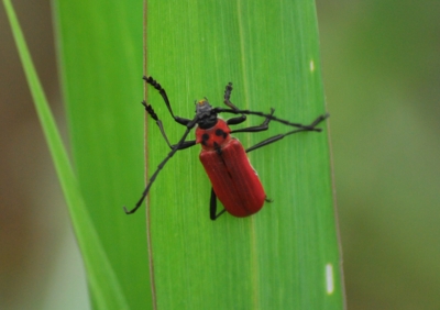 f:id:shinsyu7:20110916112109j:image:w640