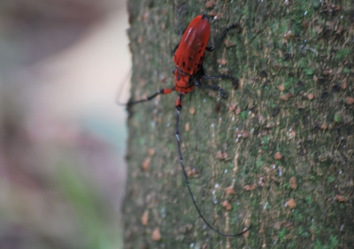 f:id:shinsyu7:20110916112320j:image:w640