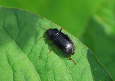 f:id:shinsyu7:20110916112414j:image:w640