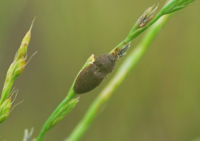 f:id:shinsyu7:20110916112504j:image:w640