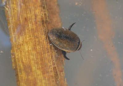 f:id:shinsyu7:20110916113108j:image:w640