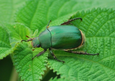 f:id:shinsyu7:20110916113452j:image:w640