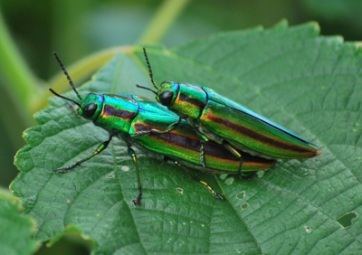 f:id:shinsyu7:20110916114224j:image:w640