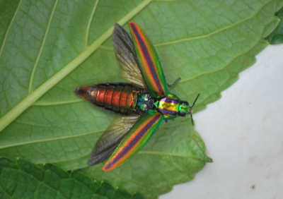 f:id:shinsyu7:20110916114230j:image:w640