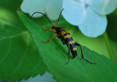 f:id:shinsyu7:20110916114626j:image:w640