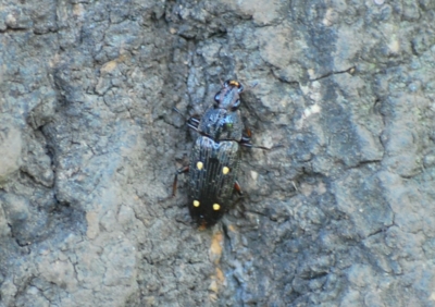 f:id:shinsyu7:20110916114722j:image:w640