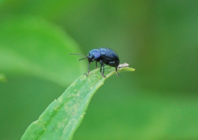 f:id:shinsyu7:20110916114828j:image:w640