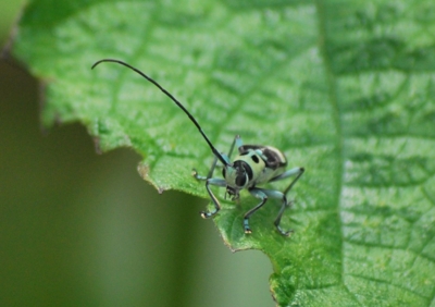 f:id:shinsyu7:20110916115047j:image:w640