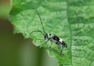 f:id:shinsyu7:20110916115050j:image:w640