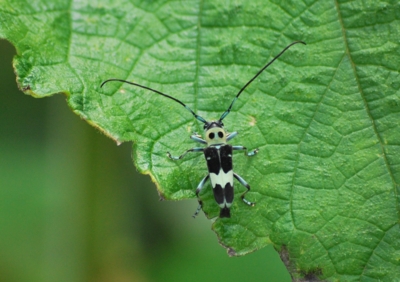 f:id:shinsyu7:20110916115052j:image:w640