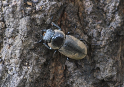 f:id:shinsyu7:20110916115416j:image:w640