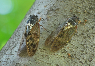 f:id:shinsyu7:20110918114917j:image:w640