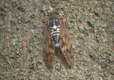 f:id:shinsyu7:20110918114920j:image:w640