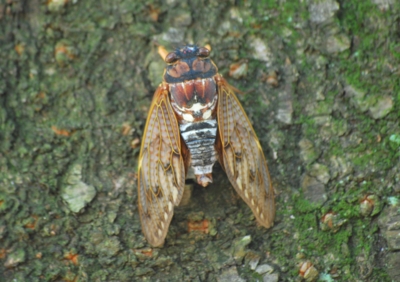 f:id:shinsyu7:20110918114927j:image:w640