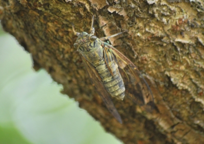 f:id:shinsyu7:20110918115952j:image:w640