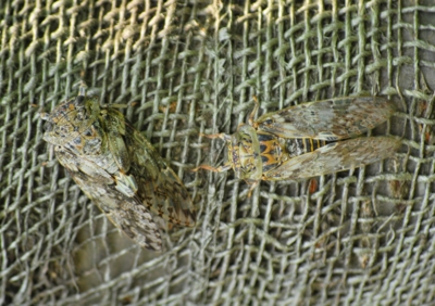 f:id:shinsyu7:20110918120548j:image:w640