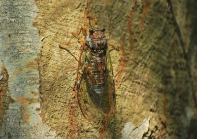 f:id:shinsyu7:20110918121038j:image:w640