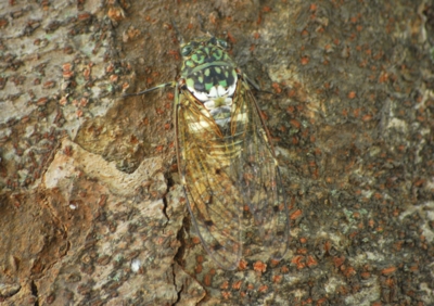 f:id:shinsyu7:20110918121225j:image:w640