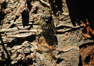 f:id:shinsyu7:20110918122729j:image:w640