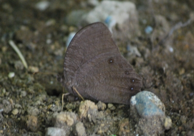 f:id:shinsyu7:20110919140814j:image:w640