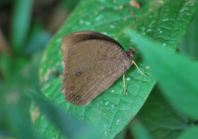 f:id:shinsyu7:20110919140835j:image:w640