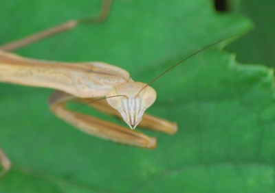 f:id:shinsyu7:20110920194335j:image:w640