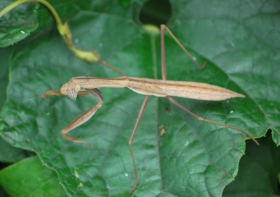 f:id:shinsyu7:20110920194338j:image:w640