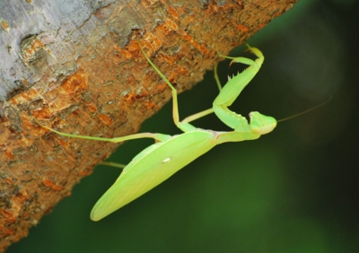 f:id:shinsyu7:20110920195542j:image:w640