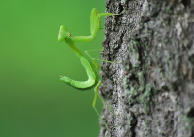 f:id:shinsyu7:20110920195543j:image:w640