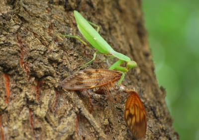 f:id:shinsyu7:20110920195544j:image:w640