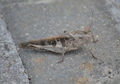 f:id:shinsyu7:20110920200638j:image:w640