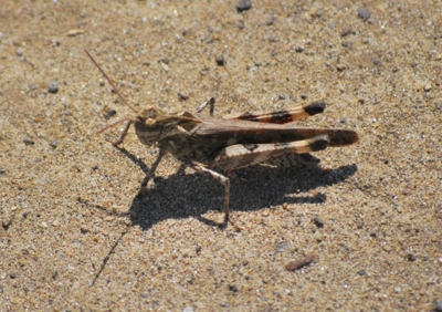 f:id:shinsyu7:20110920201118j:image:w640