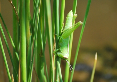 f:id:shinsyu7:20110920201319j:image:w640