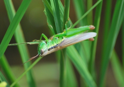 f:id:shinsyu7:20110920201324j:image:w640