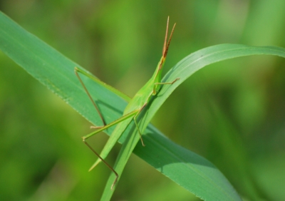 f:id:shinsyu7:20110921111334j:image:w640