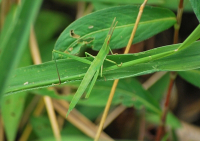 f:id:shinsyu7:20110921112016j:image:w640