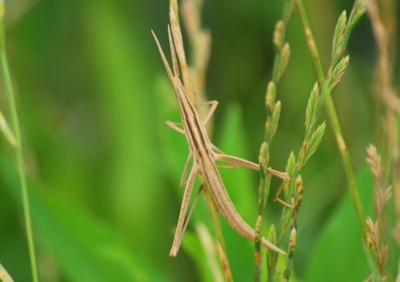 f:id:shinsyu7:20110921112021j:image:w640