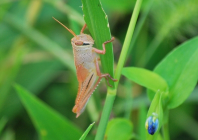 f:id:shinsyu7:20110921113009j:image:w640